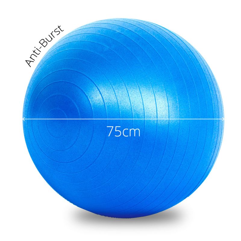 where can i buy a gym ball