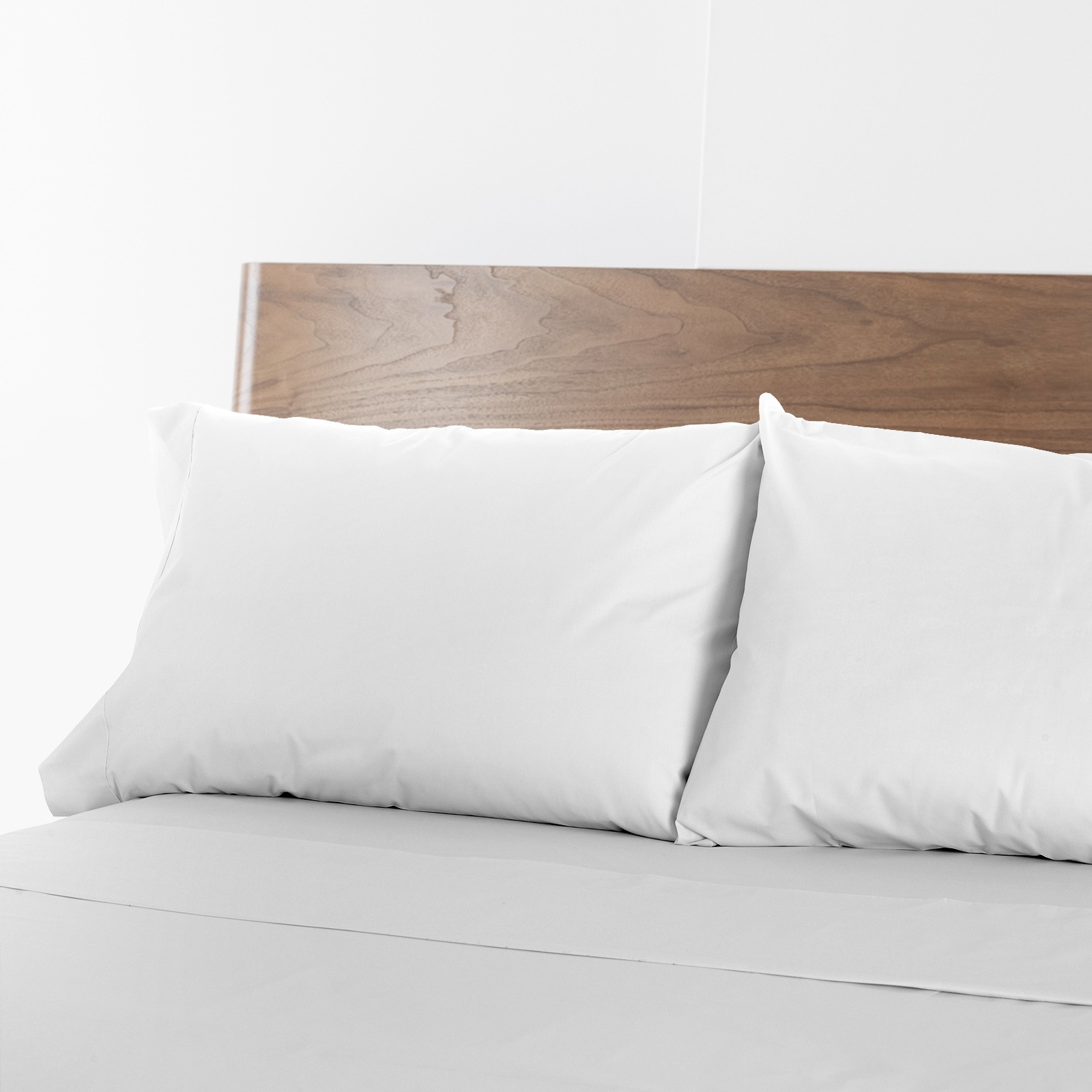 Renee Taylor 1500 Thread Count Pure Soft Cotton Blend Flat & Fitted