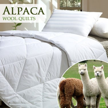 3 Sizes Pure Alpaca Wool Blend Quilt White 500gsm Buy Wool