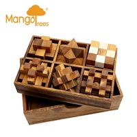 6 Puzzles Deluxe Gift Box Set #1