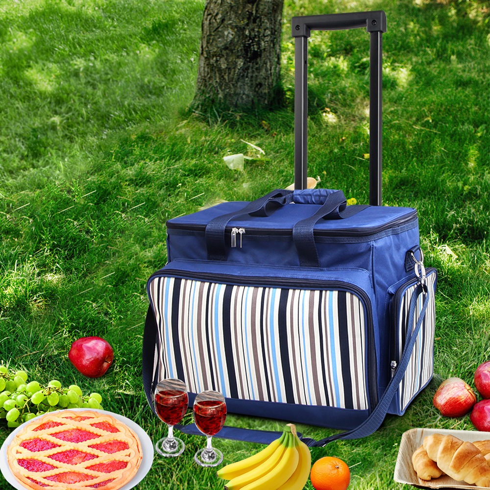 insulated picnic bag on wheels