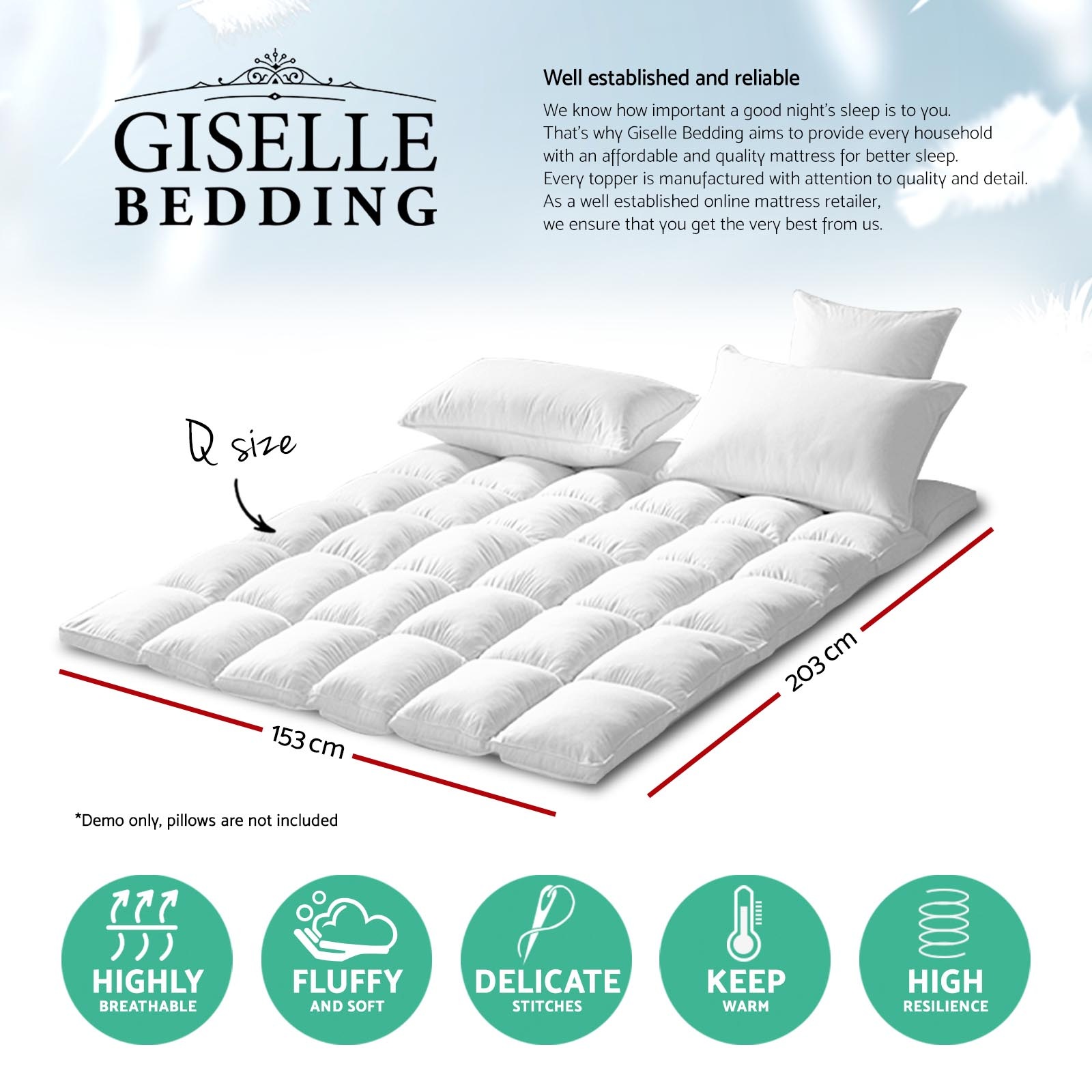 Giselle Queen Mattress Topper Duck Feather Down 1000gsm Pillowtop