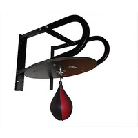 Speedball with Wall Frame Boxing Punching Bag