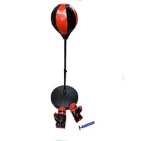 Children Punching Boxing Bag Set