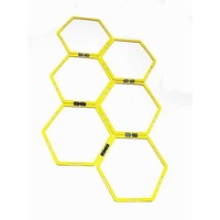 Fitness Agility Grid System