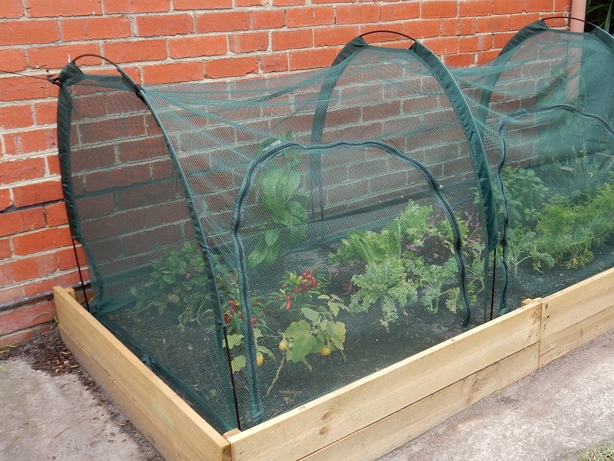 Maze Garden Plant Tunnel Cover 2m Buy Garden Maze Garden Plant Tunnel Cover 2m Buy Garden