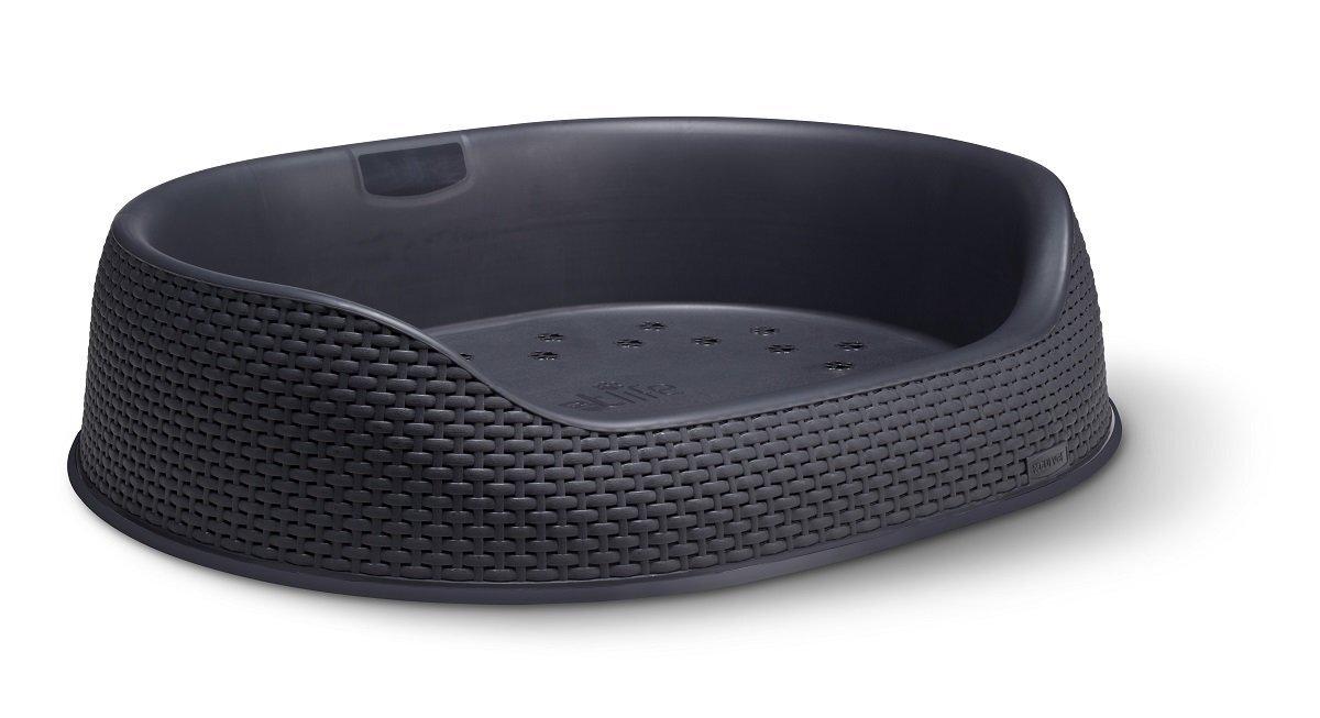 Curver Pet Bed (Small) Buy Pet Beds 250547