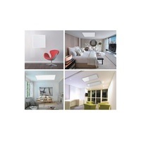 Indoor Infrared Radiant Heater 1000W