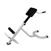 Back Bench Exercise Hyper Extension Trainer Home Gym Fitness Adjustable Folding