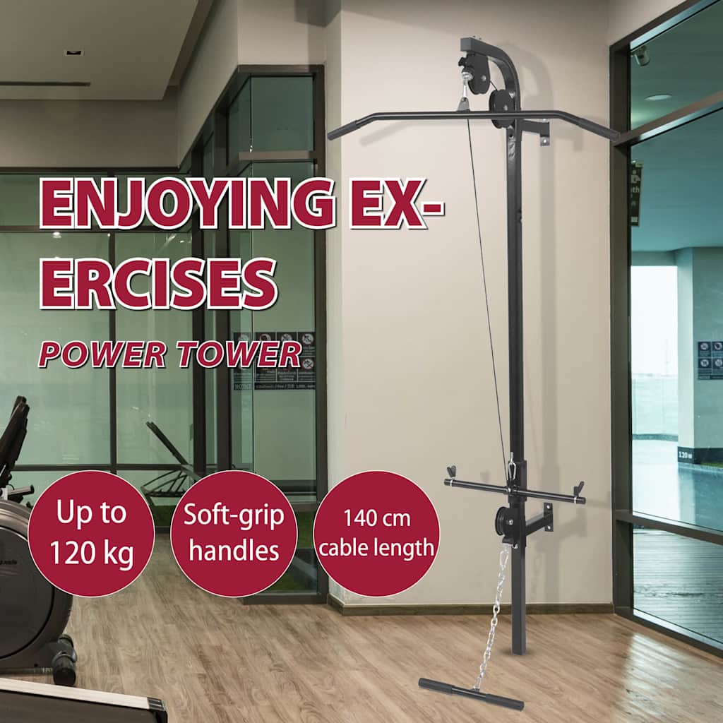 vidaXL Wallmounted Home Gym with 2 Pulleys System Pull Up Workout