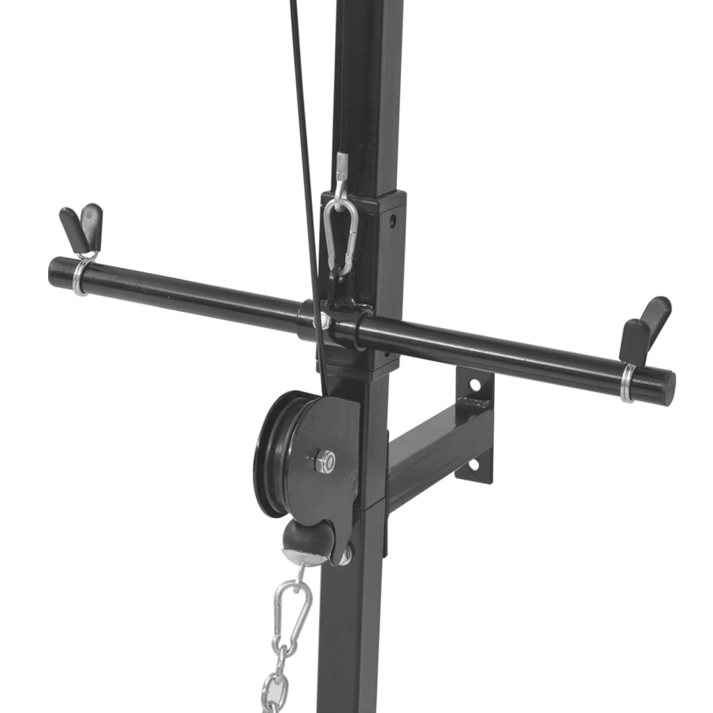 vidaXL Wallmounted Home Gym with 2 Pulleys System Pull Up Workout