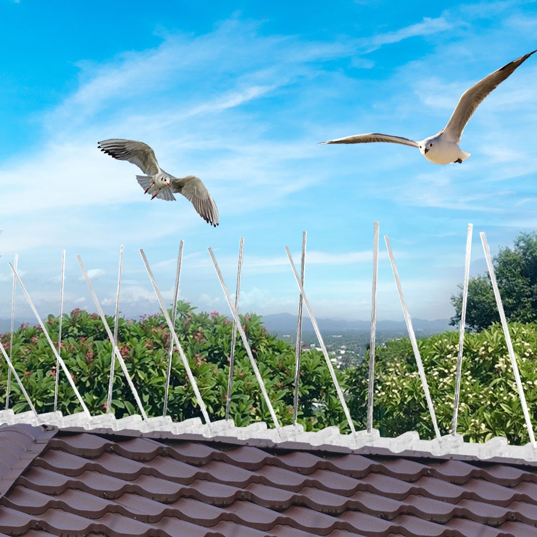 10x 50cm Anti Narrow Bird Spikes Pigeon Deterrent Repellent Bird Sting