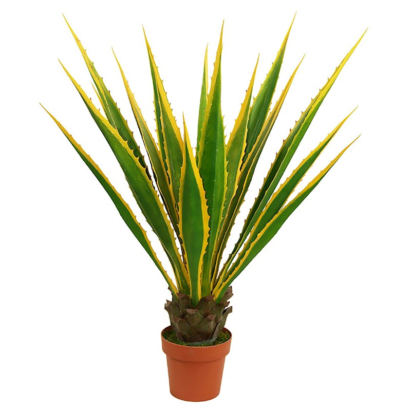 Artificial Agave Plant Potted 115cm Buy Artificial