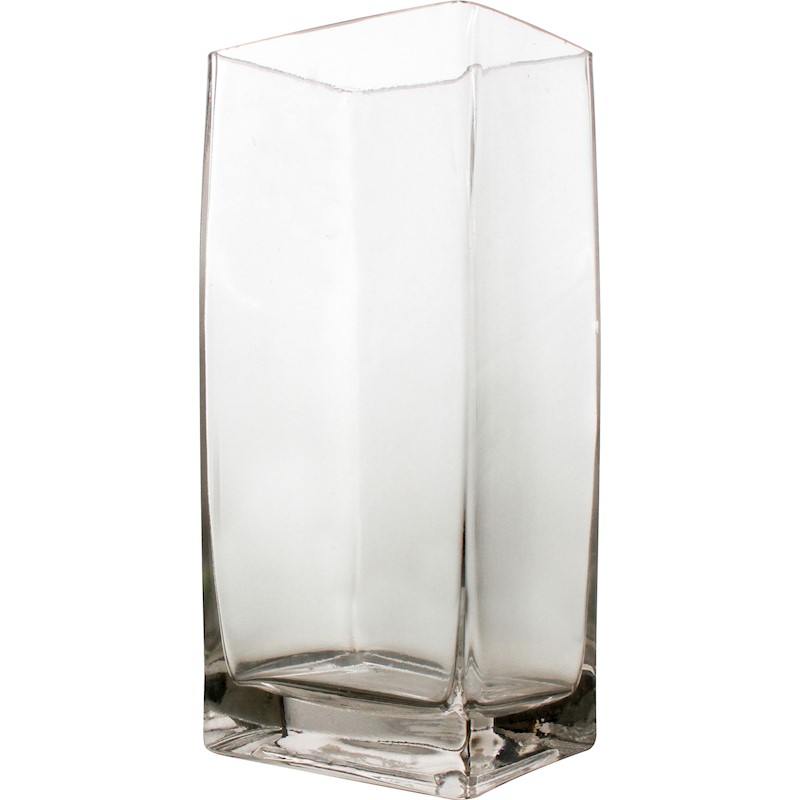 Rectangle Tall Glass Vase 10CMX8CMX22CM Buy Vases & Decorative Pots 914149
