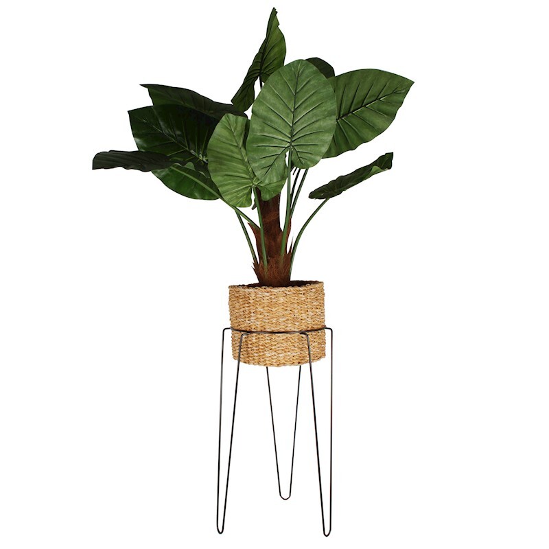 TRIPOD PLANT STAND MATTE BLACK 25 X 45CM Buy Plant Stands 914127