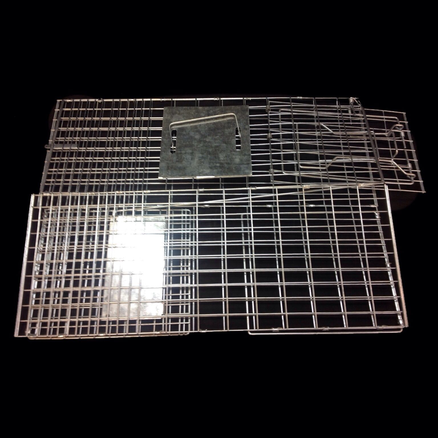 XXL HUMANE LIVE ANIMAL TRAP POSSUM FOX RABBIT HARE CAT ...