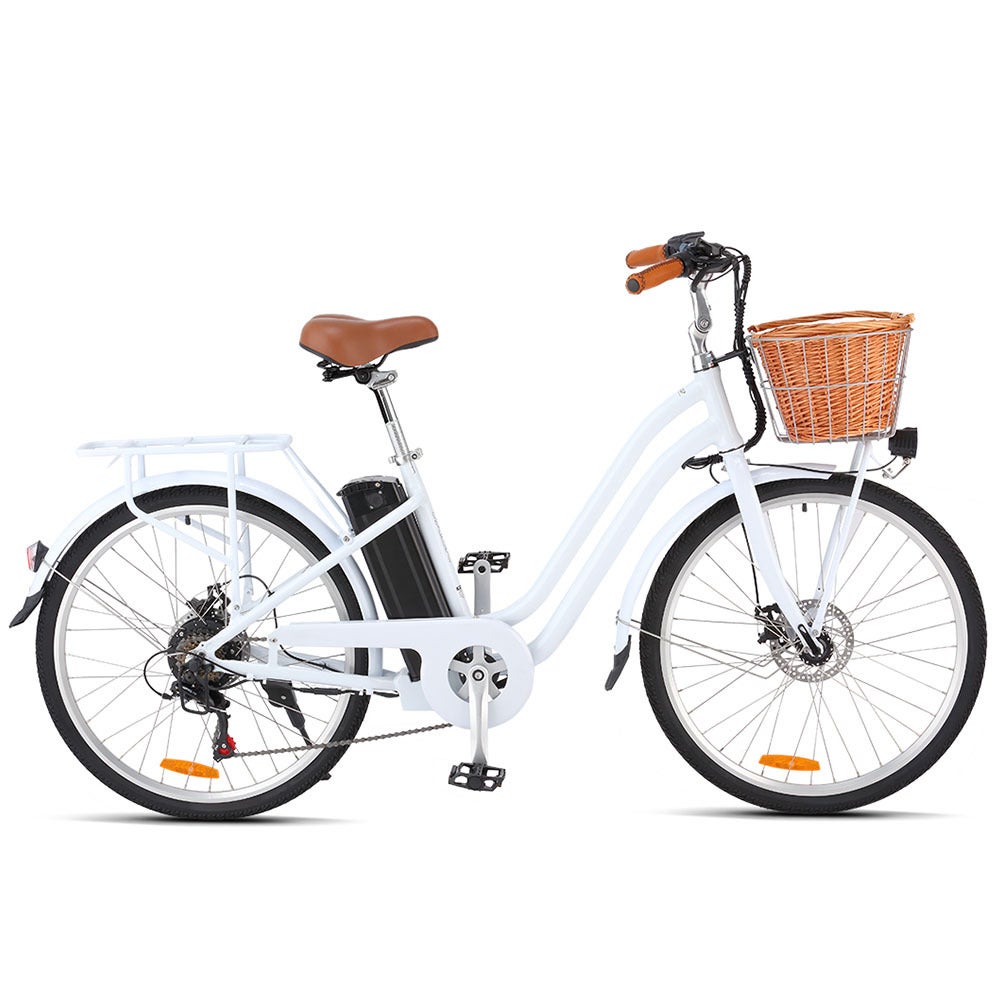 electric bike valk