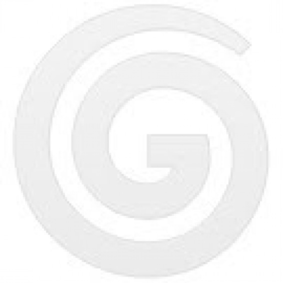 Wertheim Evolution Handstick lightweight Edge Clean motorised powerhead