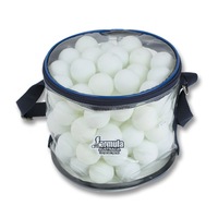 Formula Table Tennis Ping Pong Balls 100 Pack White