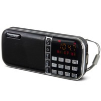 Buddee Portable AM/FM Radio/Speaker USB/TF/MicroSD Port Rechargeable Black