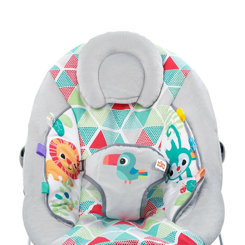 bright starts car seat