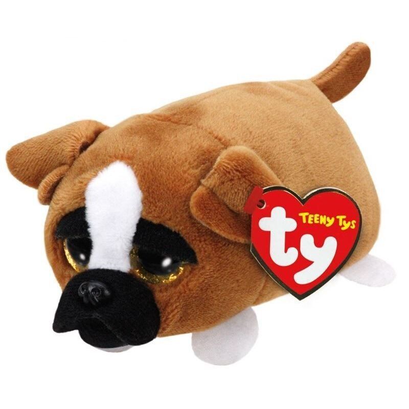ty dog teddy