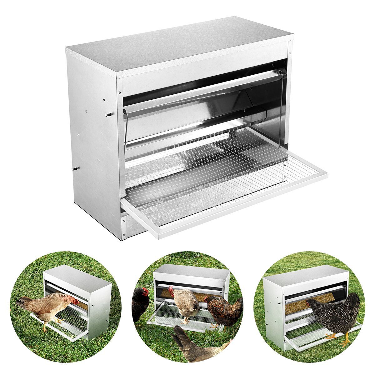 Automatic Galvanized Chicken Feeder 10kg Buy Pet Bowls Feeders