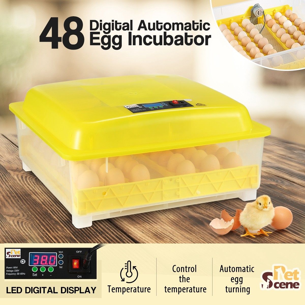 duck egg incubator