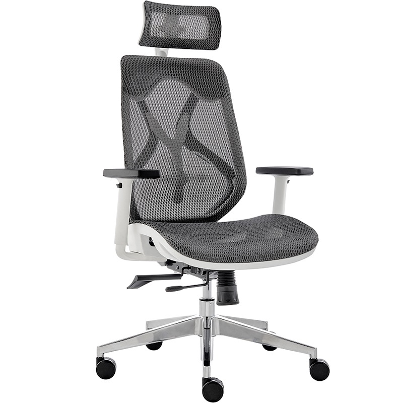 ErgoDuke UltraFlex Ergonomic Commercial Project High Back Office Chair