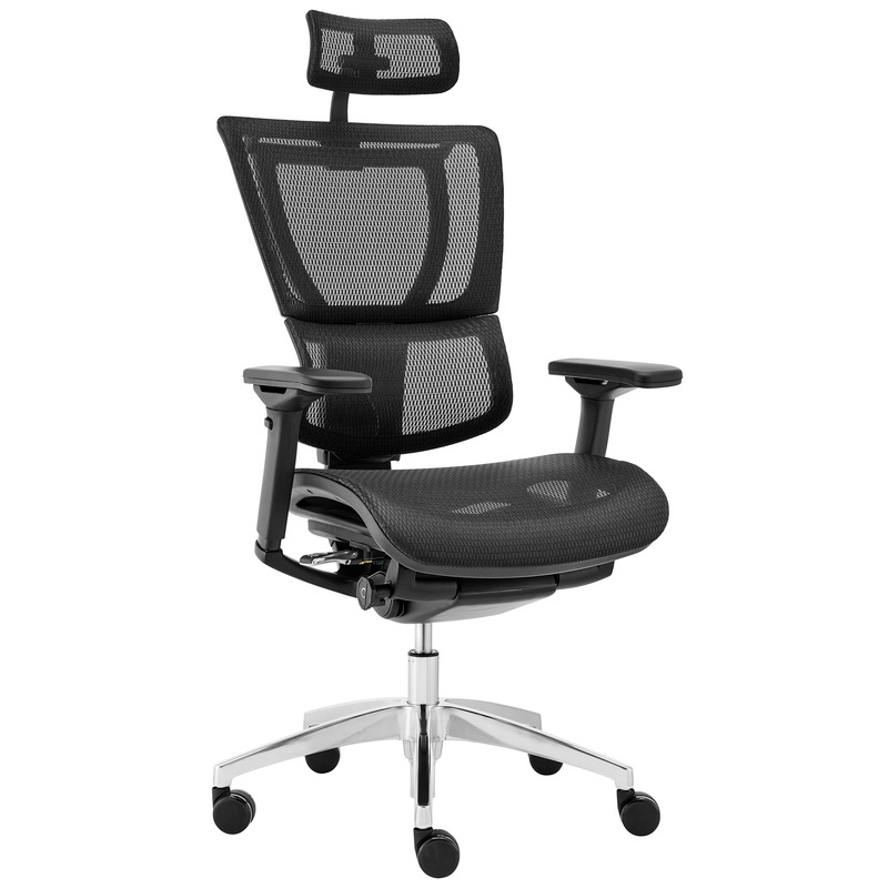 Ergohuman Fit IOO Executive High Back Office Chair Aluminium Base Buy