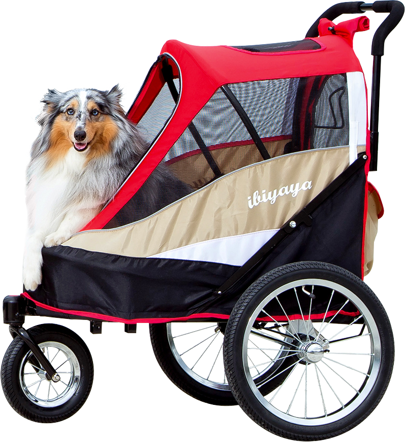 dog buggy for bike