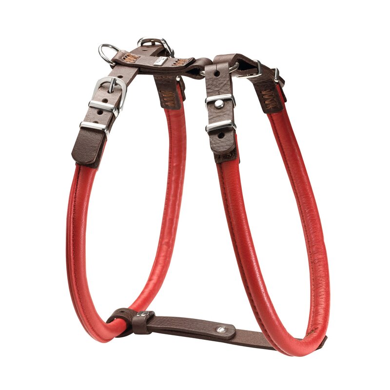 Hunter Calgary Elk Rolled Leather Dog Harness Buy Pet Collars