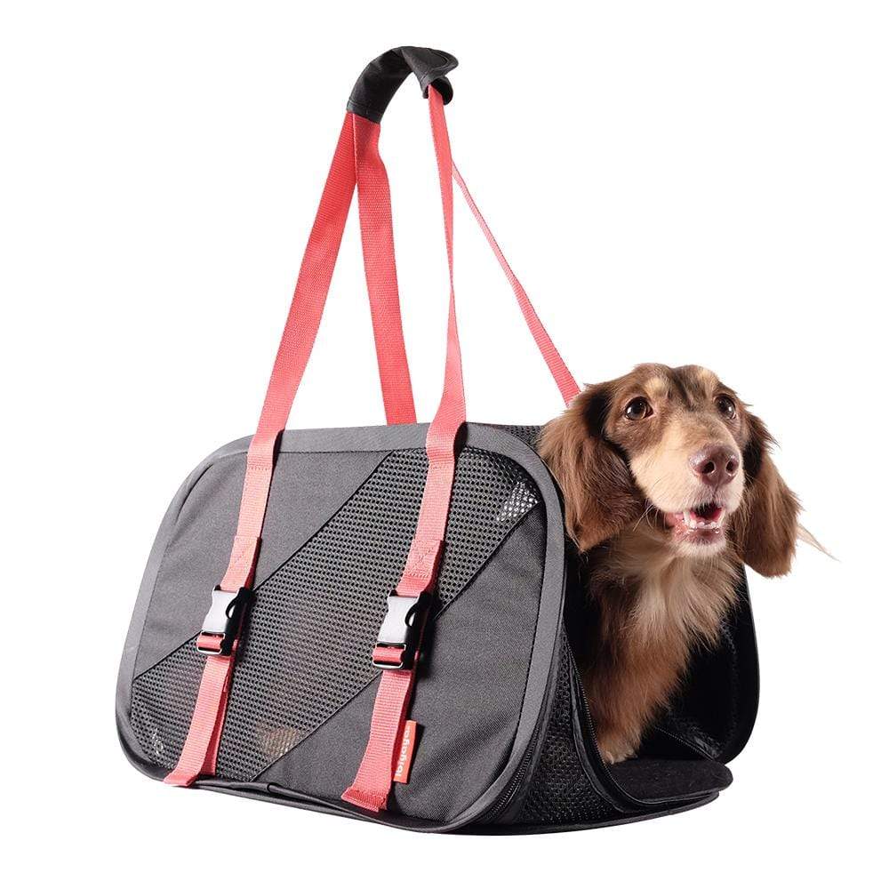 Ibiyaya Flying Pal Foldable Pet Travel Carrier Bag, Black/ Red Buy