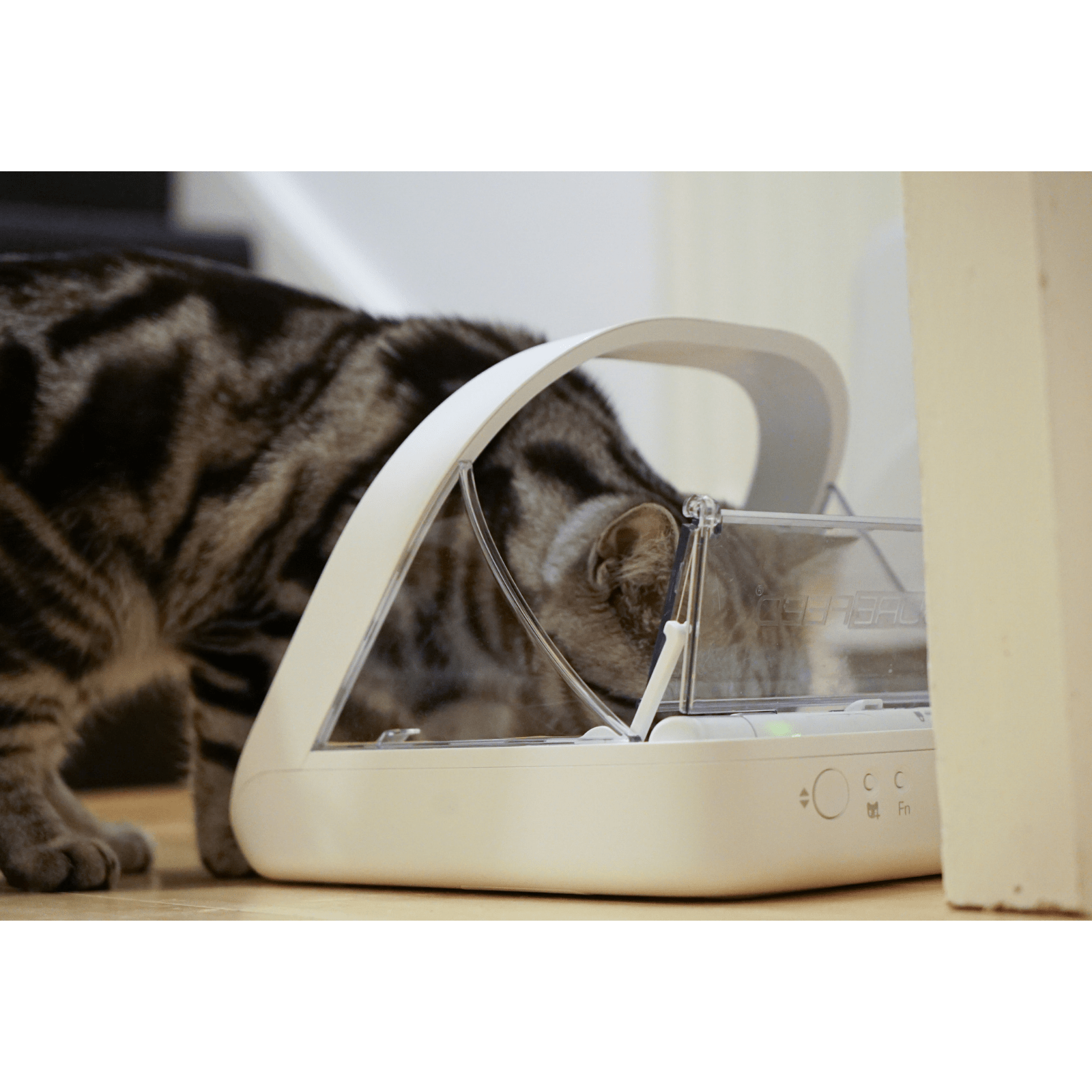 microchip cat feeder