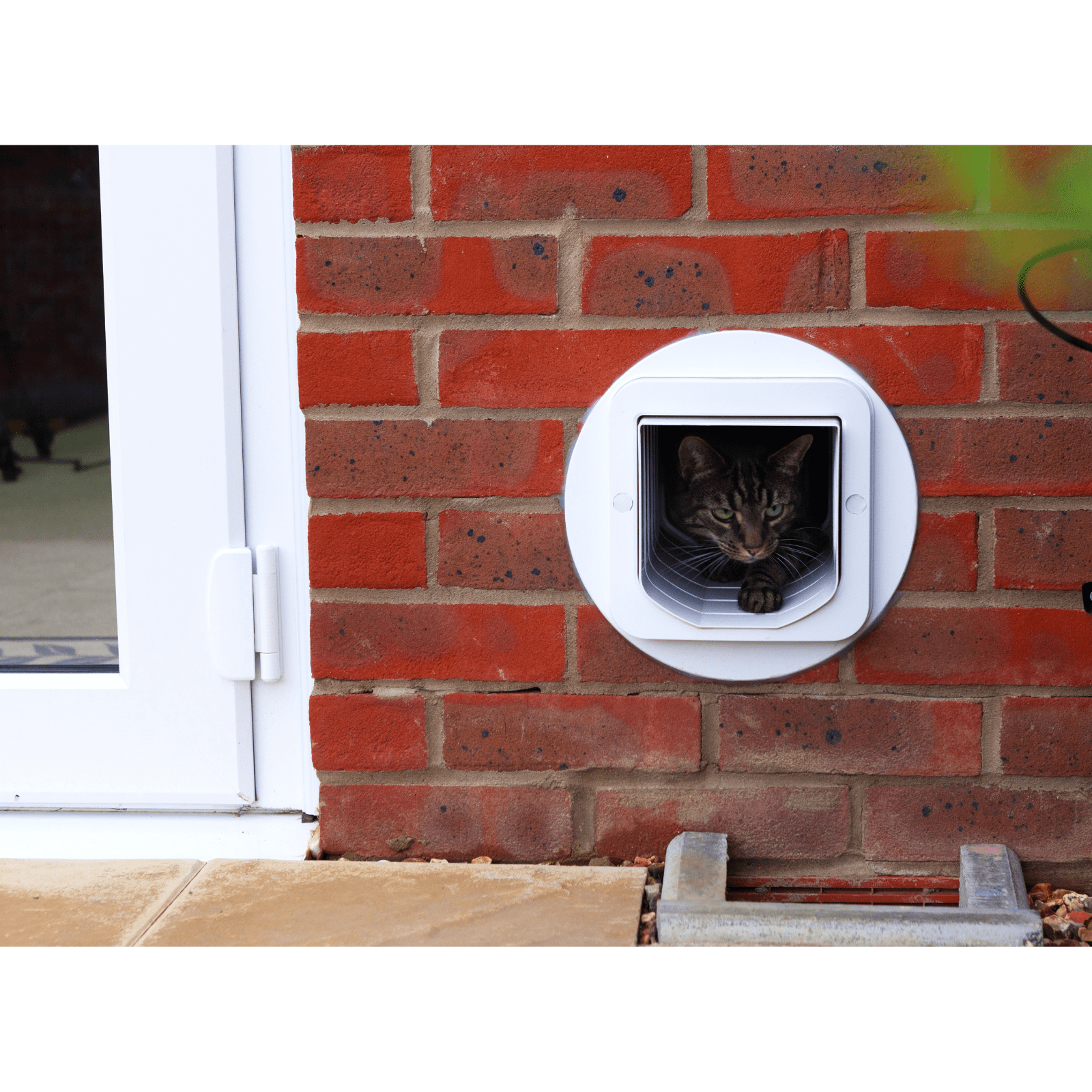 Sureflap Microchip Cat Flap Door | Buy Pet Doors ...