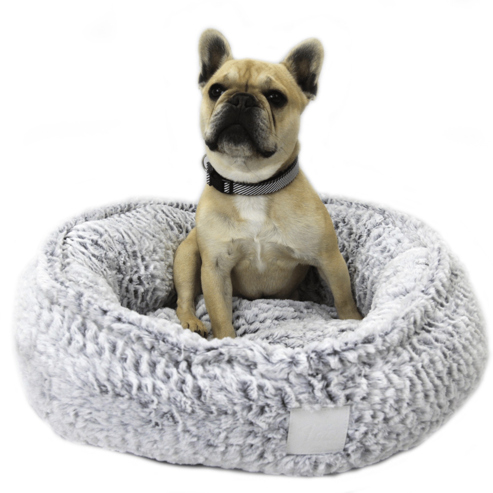 buy pet bed