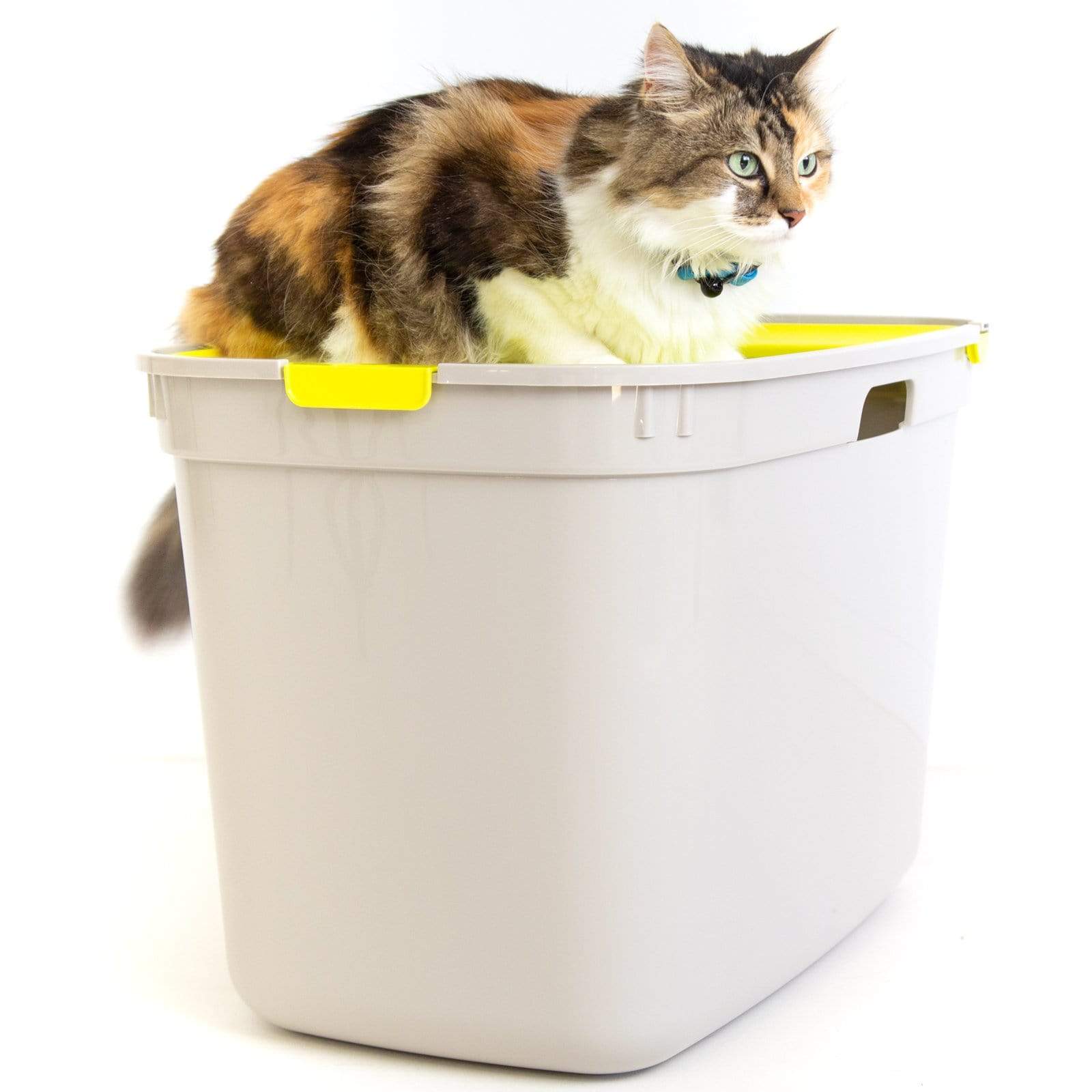 Top Entry Litter Box, Moderna Top Cat Buy Cat Litter 5412087015948