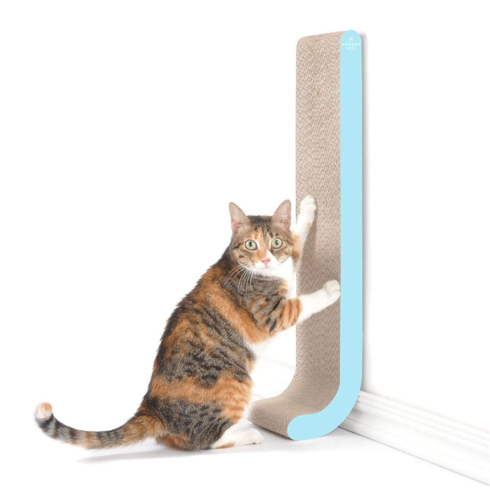 Wall Mounted Cat Scratch Post, Cardboard Scratcher, Aqua Buy Cat