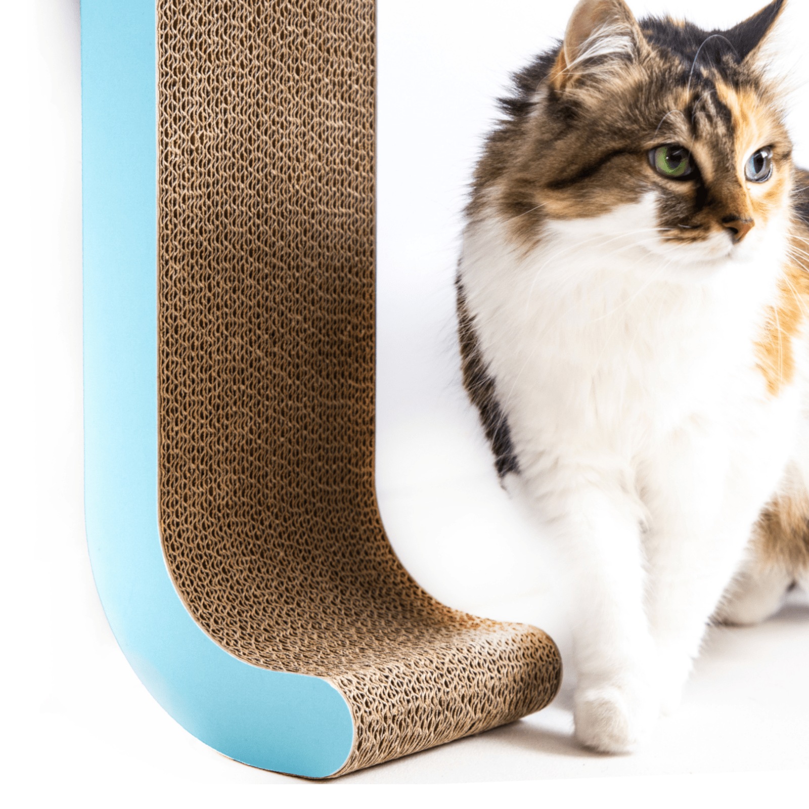 Cardboard scratch post Clearance
