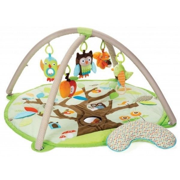 skip hop hug and hide activity gym
