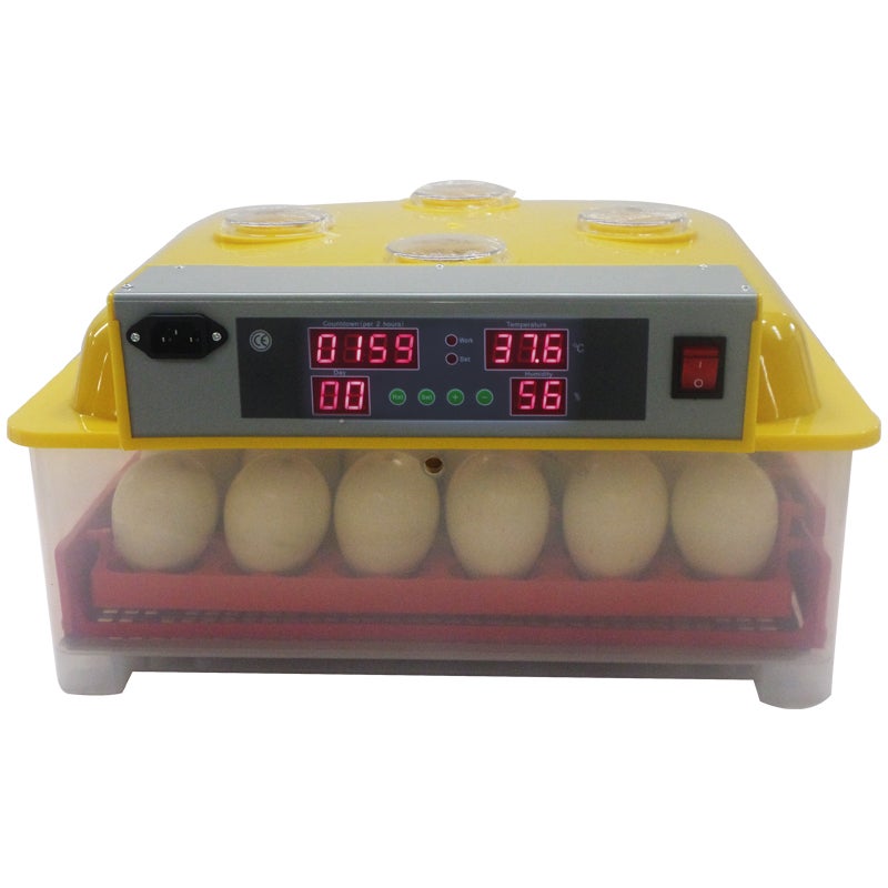 duck egg incubator