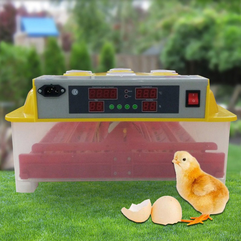 Automatic turning egg tray for incubator