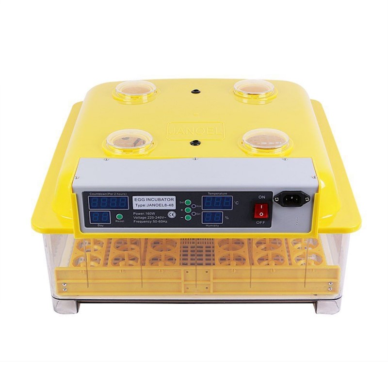JANOEL Fully Automatic 48 Eggs Incubator Kit Buy Egg Incubators 589140