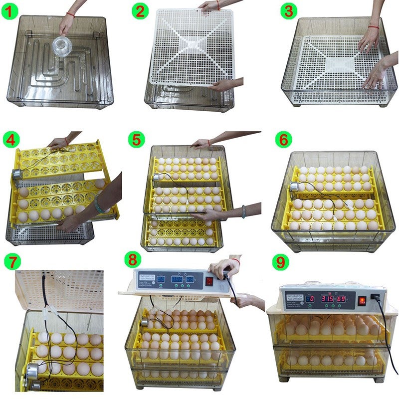 Egg incubator janoel