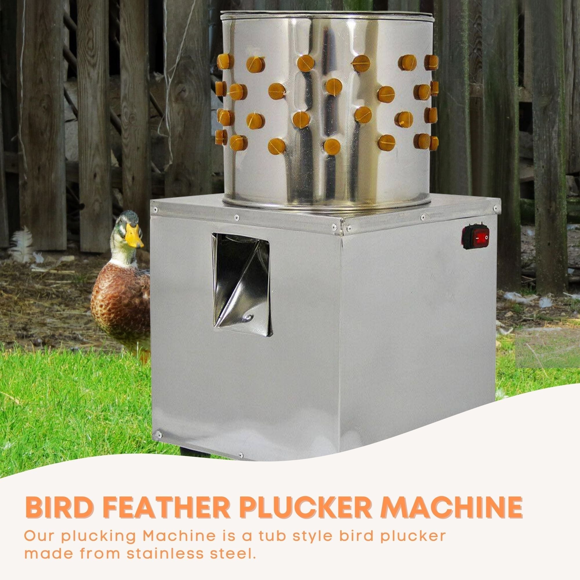 feather plucking machine