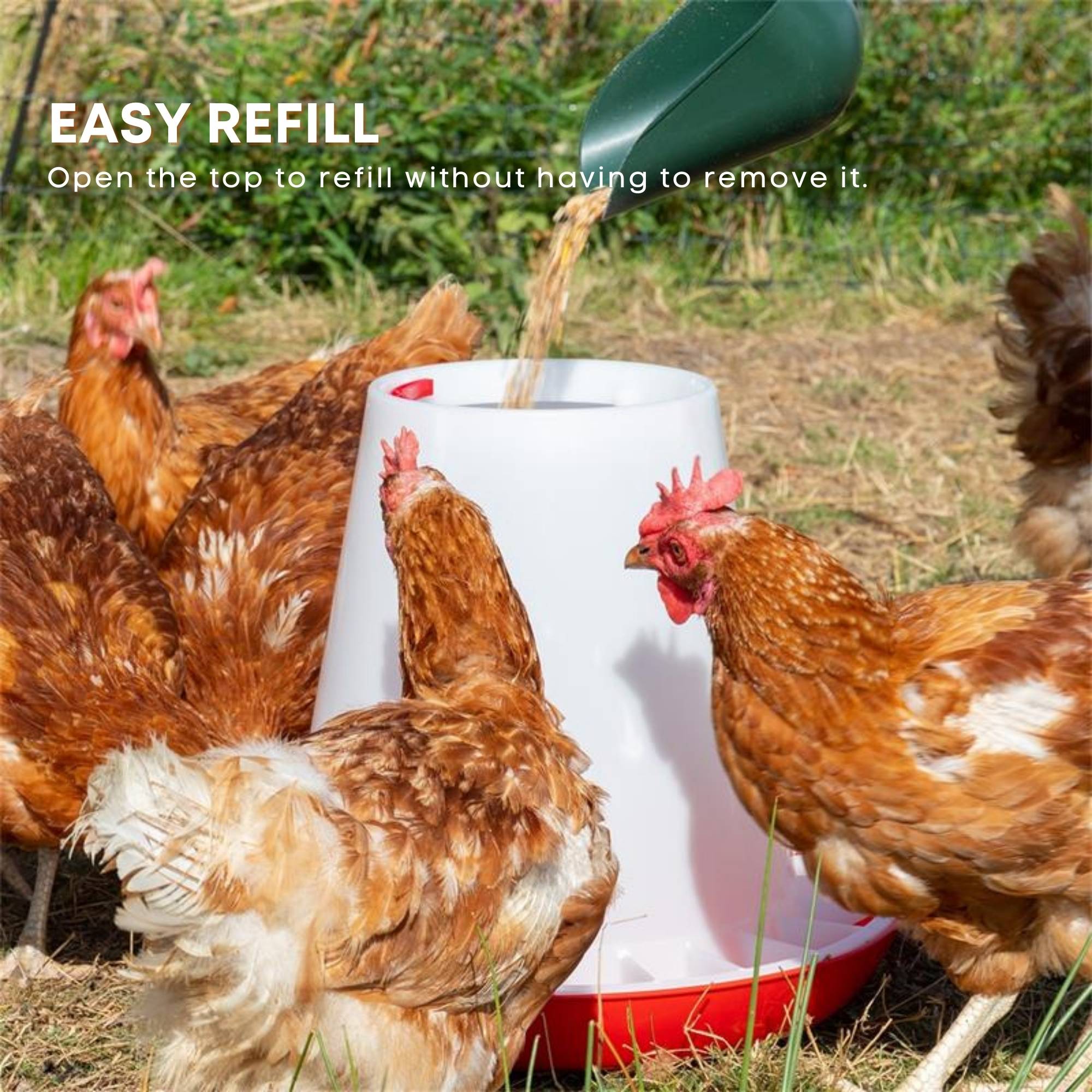 Chicken Poultry Feeders And Drinkers Plastic Chook Water