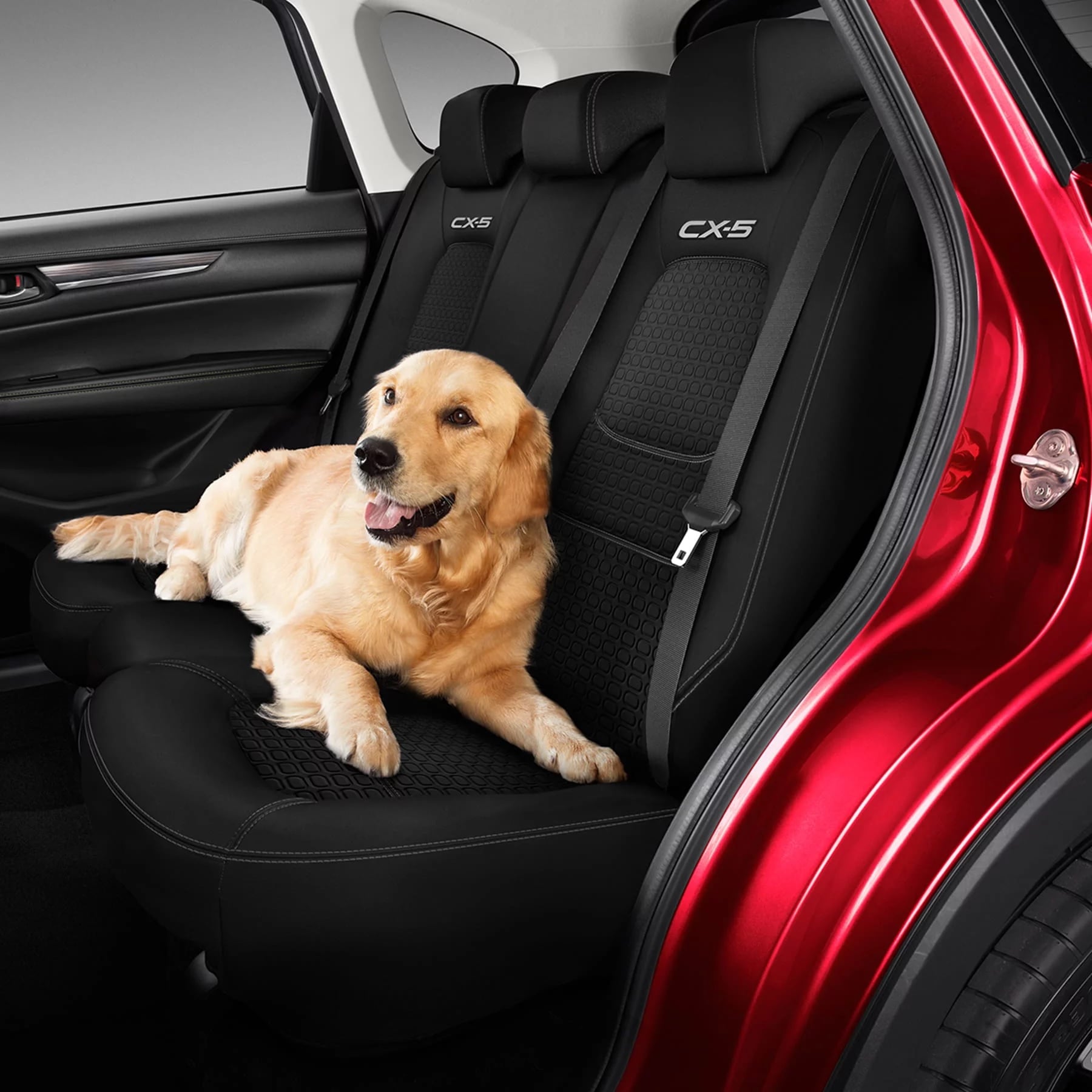 Genuine Mazda Rear Back Seat Cover KF CX5 Neoprene CX5 KF11ACSCR Buy Car Covers 782121 Genuine Mazda Rear Back Seat Cover KF CX5 Neoprene CX5 KF11ACSCR Buy Car Covers 782121