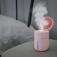 New Spray Humidifier Fan 2 in 1 Handheld Portable USB Mini Fans Essential Oil Diffuser Mute Summer Air Conditioning Cool