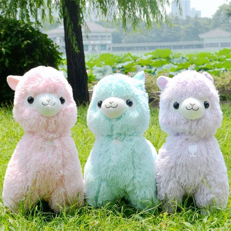 black alpacasso