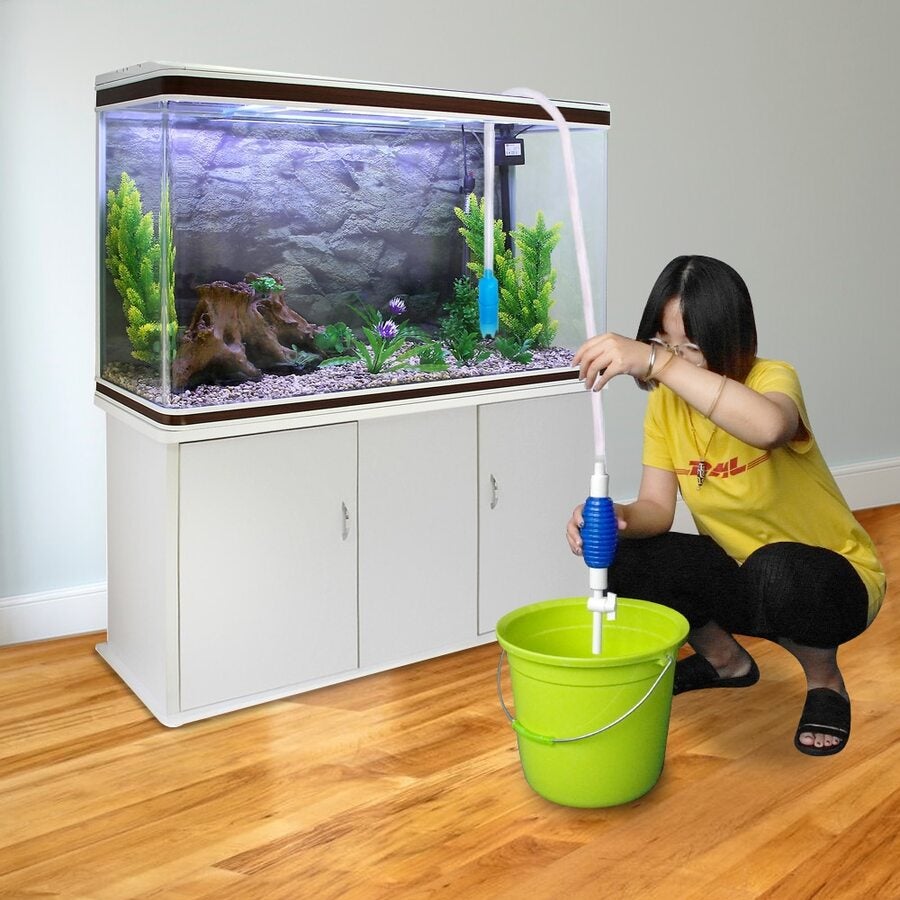syphoner fish tank